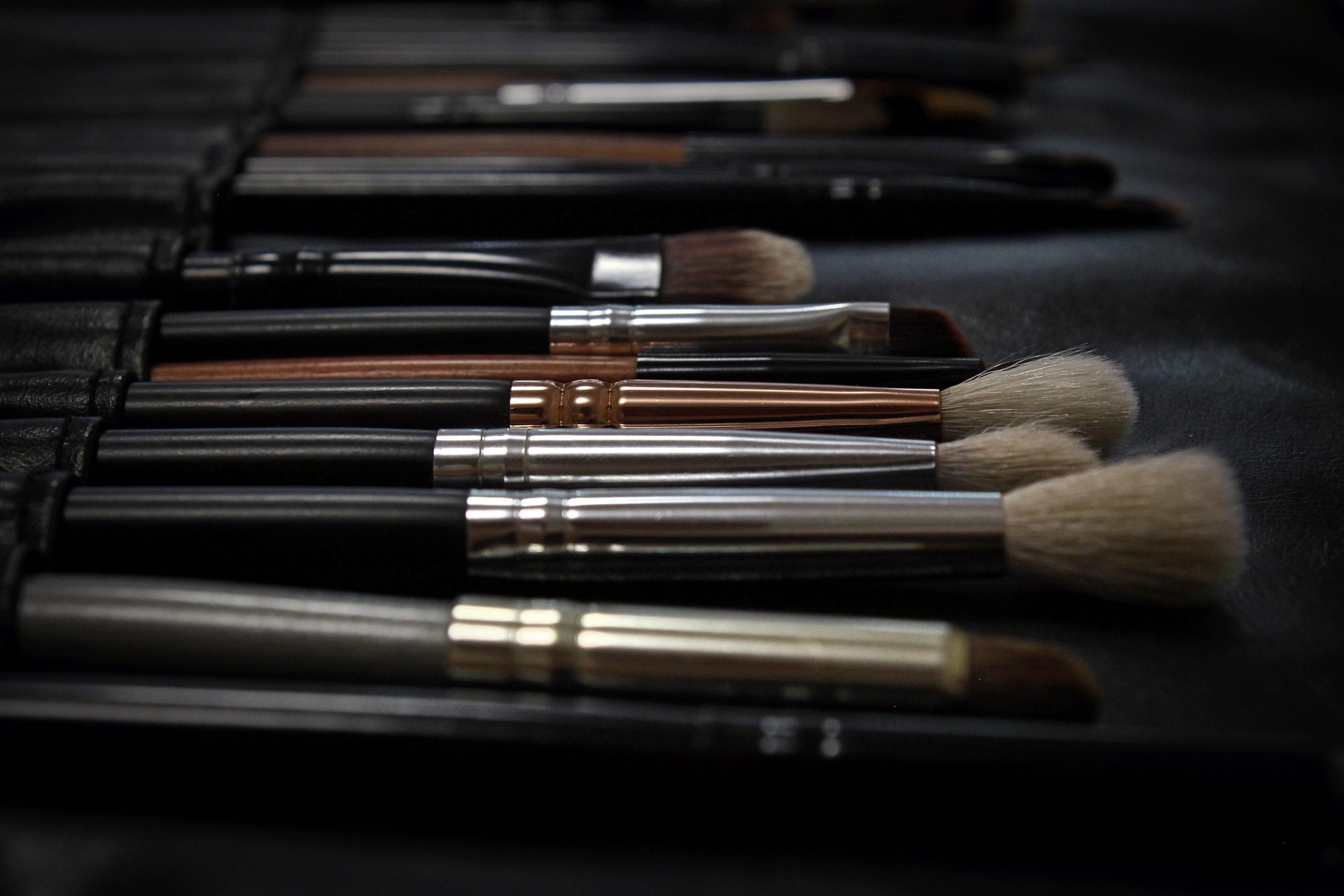 Black Beauty World
